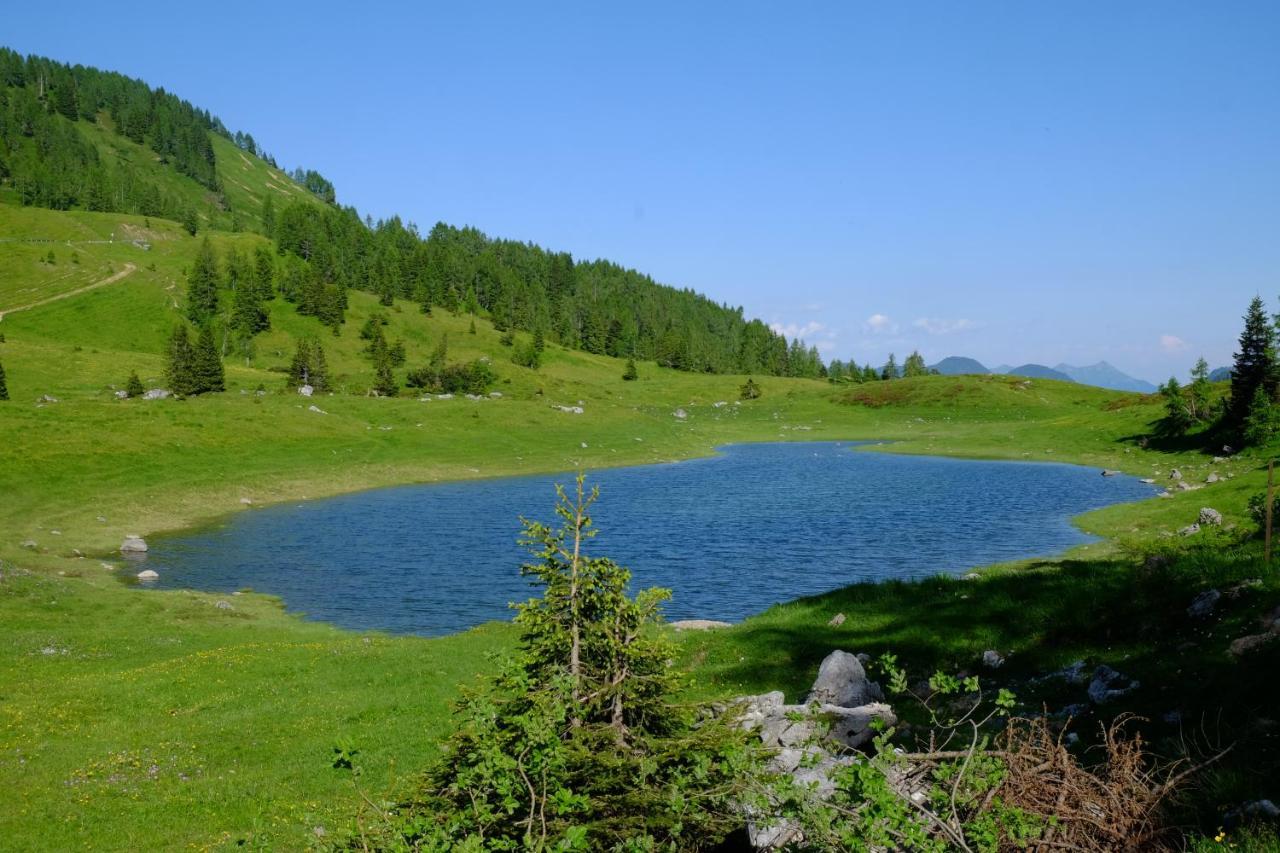 ホテル Casa Della Rosa Dolomites Experience ヴィーゴ・ディ・カドーレ エクステリア 写真